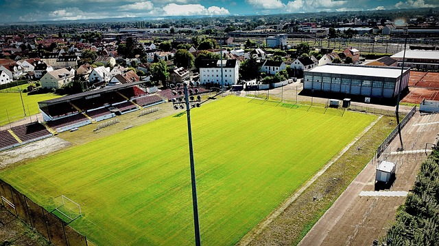 作和精湛的 作和精湛的