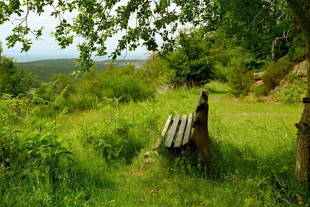 现有球员的 现有球员的